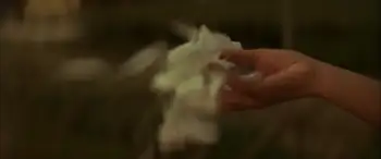 The Castle of Sand (1974) - Film Still 11