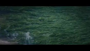 Solaris (1972) - Film Still 1