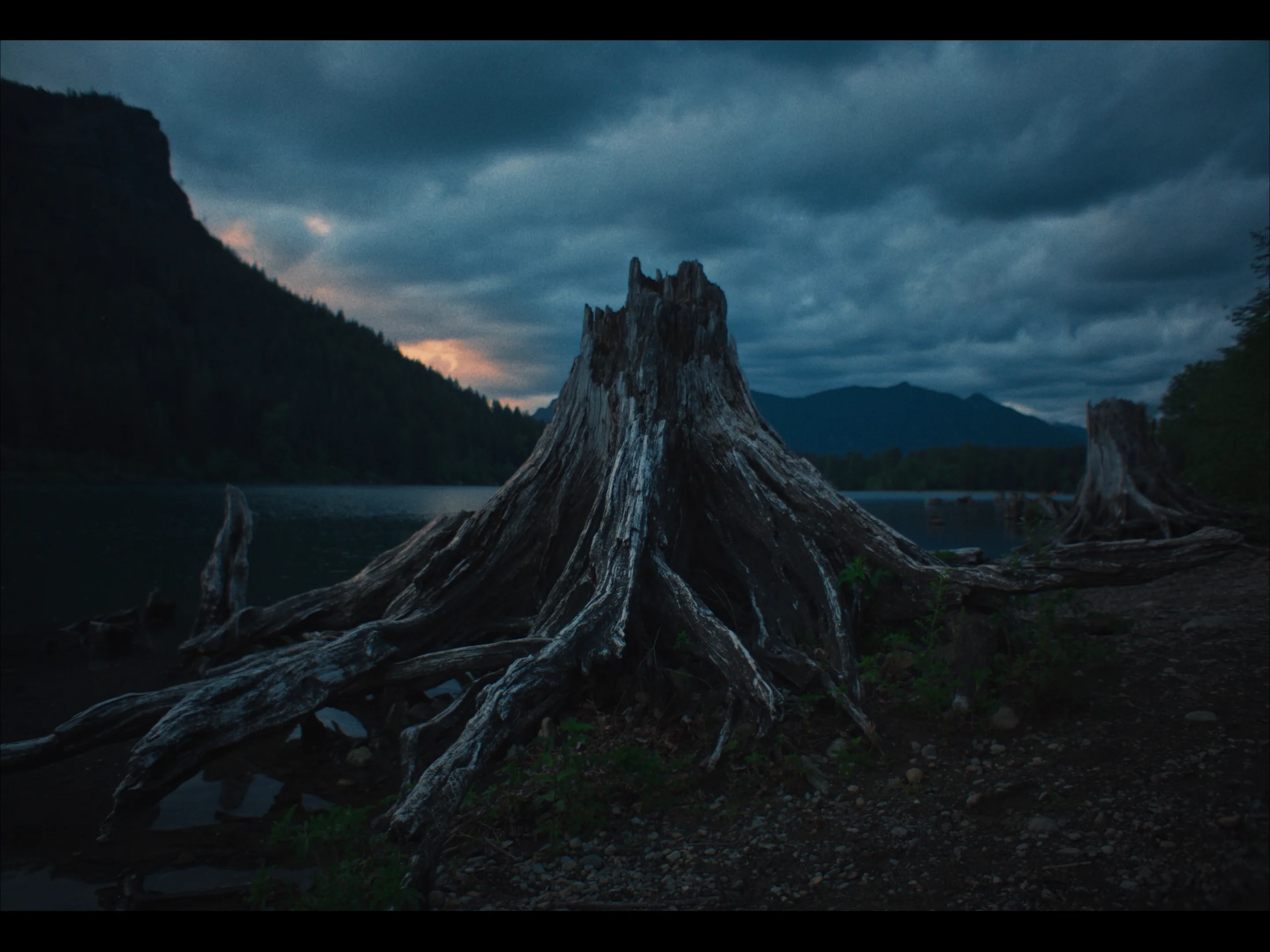 Train Dreams (2025) - Film Still 1