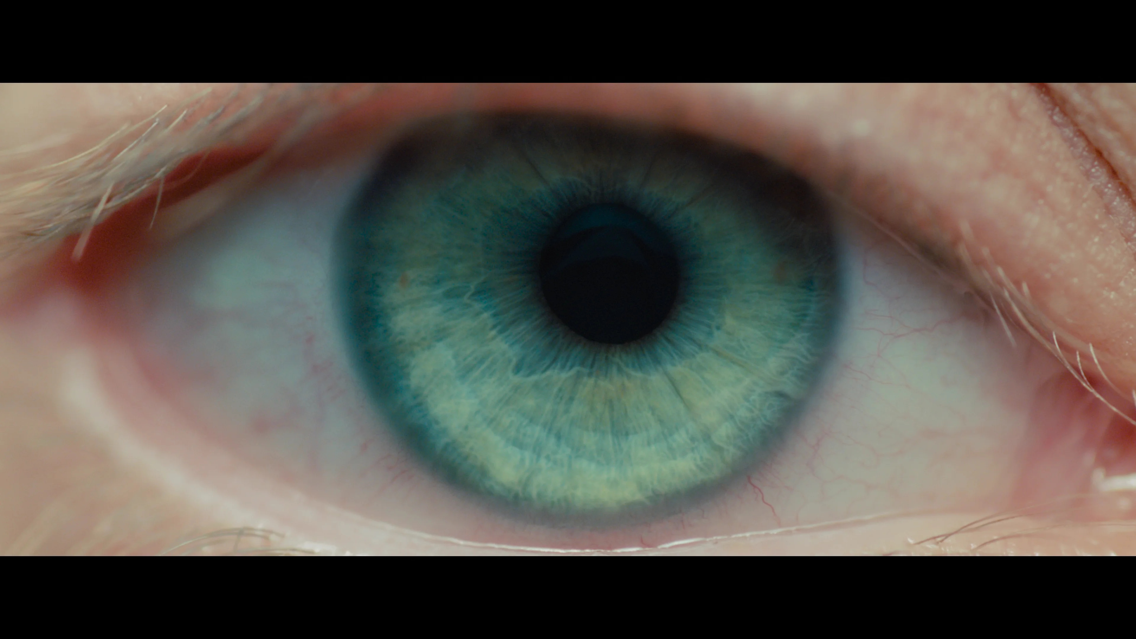 Blade Runner 2049 (2017) - Film Still 1