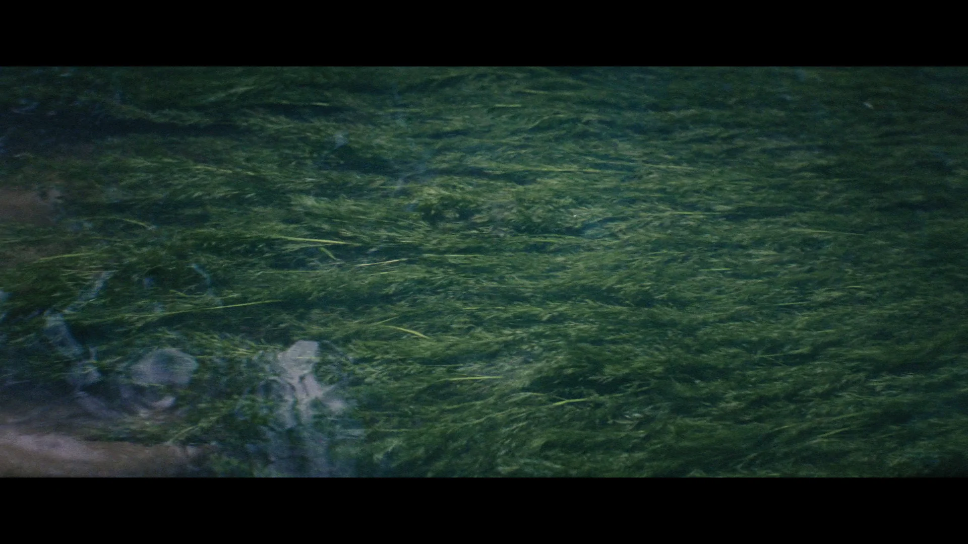 Solaris (1972) - Film Still 1